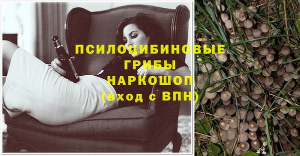 МДПВ Верхний Тагил