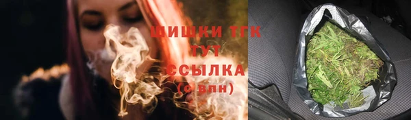 МДПВ Верхний Тагил