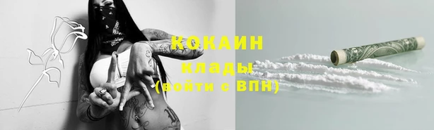 МДПВ Верхний Тагил
