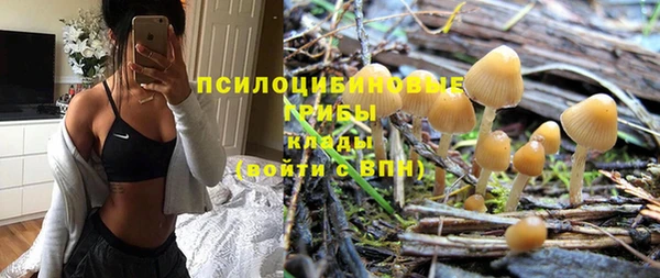 МДПВ Верхний Тагил