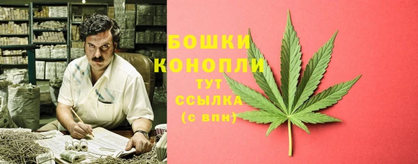 МДПВ Верхний Тагил