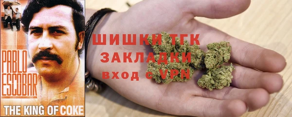 МДПВ Верхний Тагил